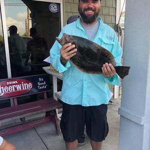 Meet your Posher, Shane